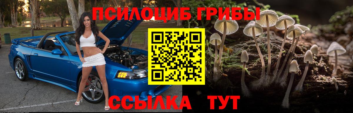 Галлюциногенные грибы прущие грибы  Вход с VPN  Хасавюрт 